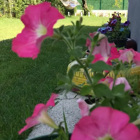 4 Mevsim Dag Evi Hébergement de vacances Sapanca