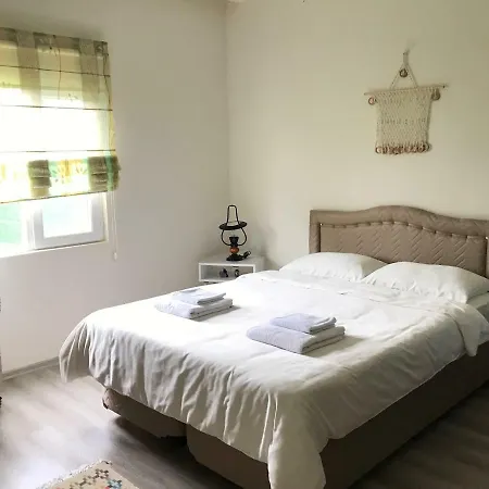 Hébergement de vacances 4 Mevsim Dag Evi Sapanca