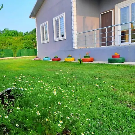 4 Mevsim Dag Evi Hébergement de vacances Sapanca